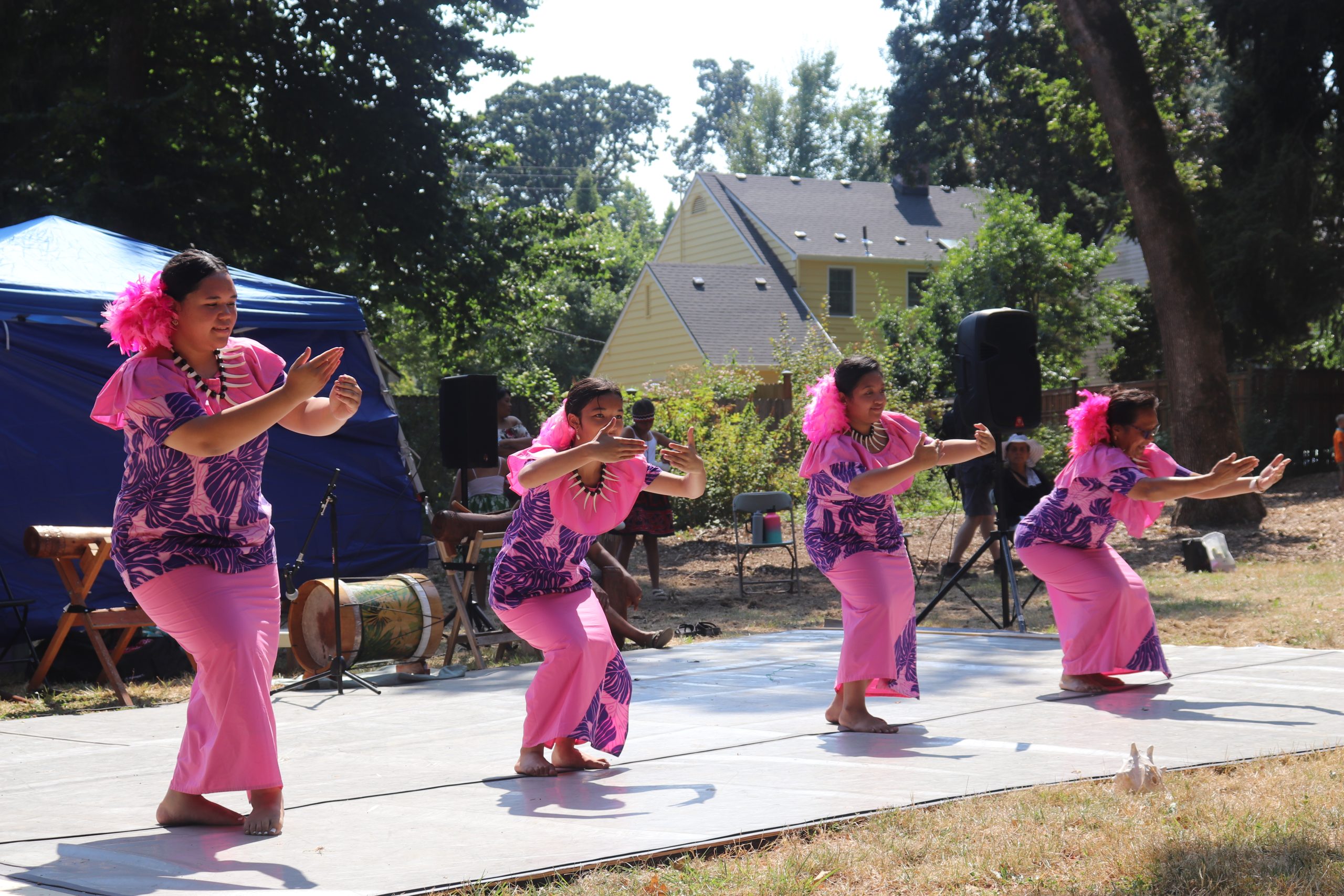 PHOTOS: The Englewood Forest Festival fills the park with culture, art and laughter